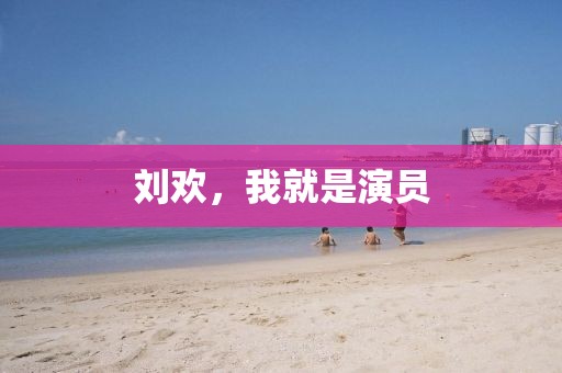 刘欢，我就是演员