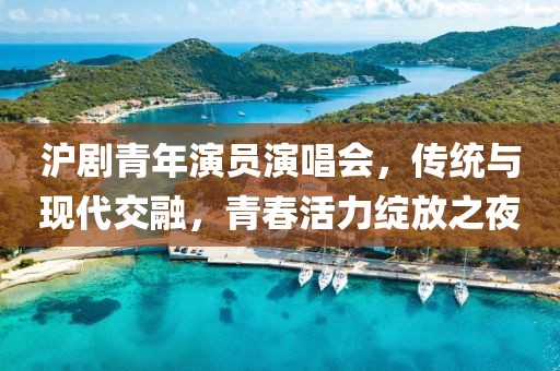 沪剧青年演员演唱会，传统与现代交融，青春活力绽放之夜