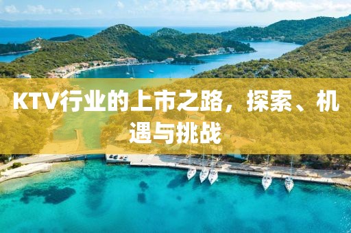KTV行业的上市之路，探索、机遇与挑战