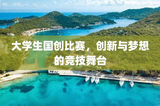 大学生国创比赛，创新与梦想的竞技舞台
