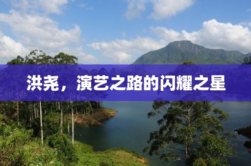 洪尧，演艺之路的闪耀之星