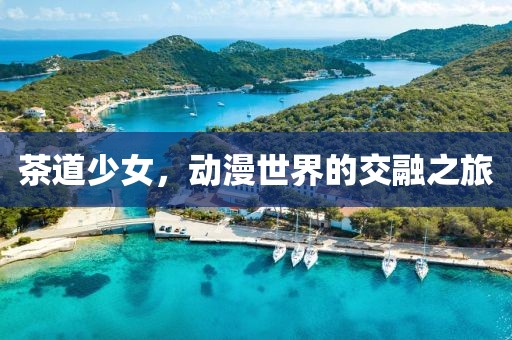茶道少女，动漫世界的交融之旅