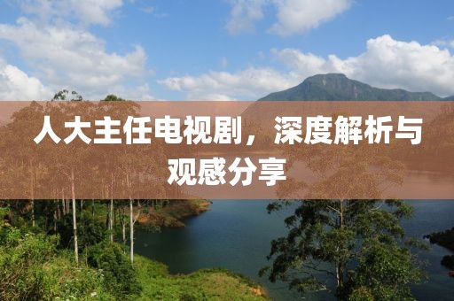 人大主任电视剧，深度解析与观感分享