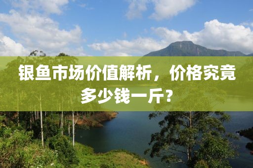 银鱼市场价值解析，价格究竟多少钱一斤？