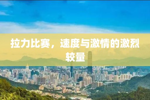 拉力比赛，速度与激情的激烈较量