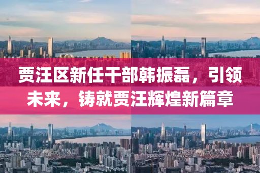 贾汪区新任干部韩振磊，引领未来，铸就贾汪辉煌新篇章