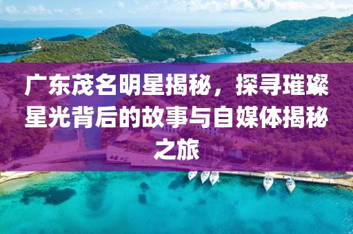 广东茂名明星揭秘，探寻璀璨星光背后的故事与自媒体揭秘之旅