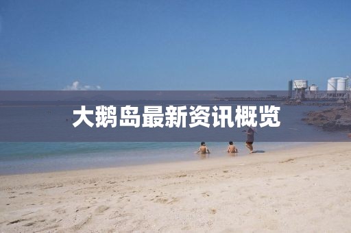 大鹅岛最新资讯概览