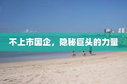 不上市国企，隐秘巨头的力量