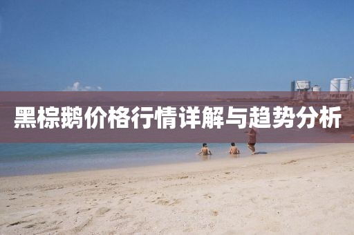 黑棕鹅价格行情详解与趋势分析