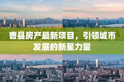 曹县房产最新项目，引领城市发展的新星力量