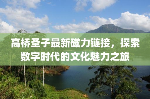 高桥圣子最新磁力链接，探索数字时代的文化魅力之旅