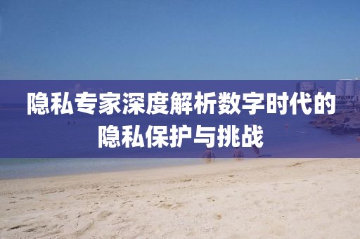 隐私专家深度解析数字时代的隐私保护与挑战