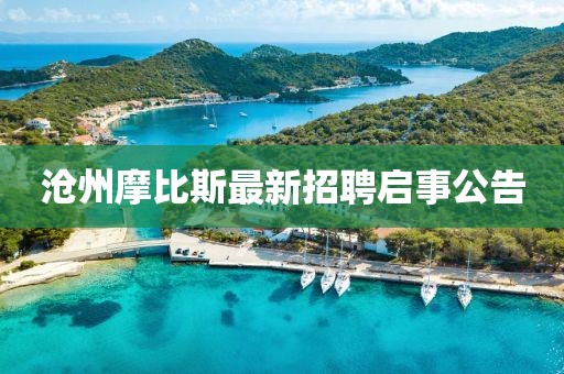 沧州摩比斯最新招聘启事公告