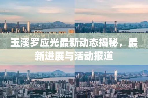 玉溪罗应光最新动态揭秘，最新进展与活动报道