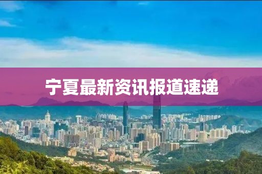 宁夏最新资讯报道速递