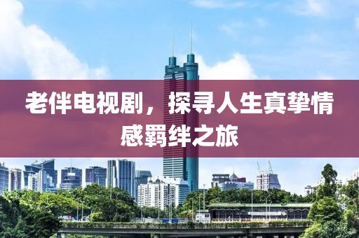 老伴电视剧，探寻人生真挚情感羁绊之旅
