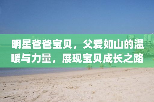 明星爸爸宝贝，父爱如山的温暖与力量，展现宝贝成长之路