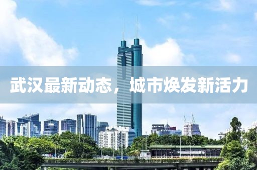 武汉最新动态，城市焕发新活力