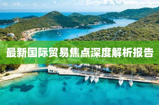 最新国际贸易焦点深度解析报告