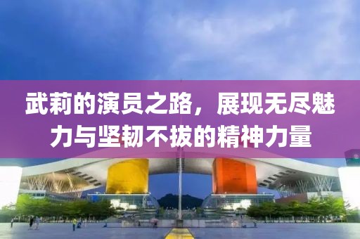 武莉的演员之路，展现无尽魅力与坚韧不拔的精神力量