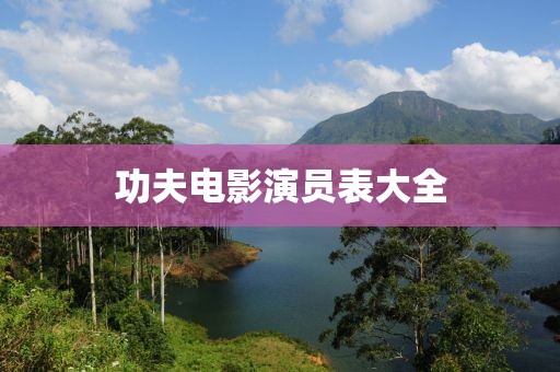 功夫电影演员表大全