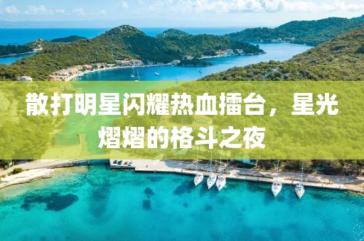 散打明星闪耀热血擂台，星光熠熠的格斗之夜