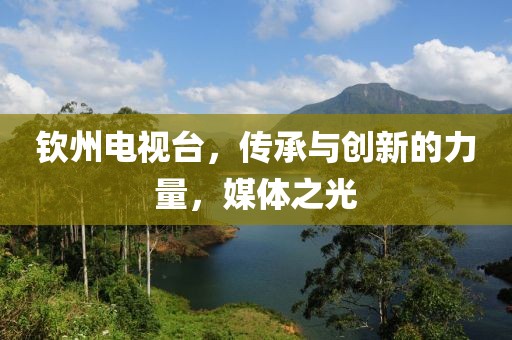 钦州电视台，传承与创新的力量，媒体之光