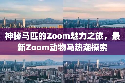 神秘马匹的Zoom魅力之旅，最新Zoom动物马热潮探索