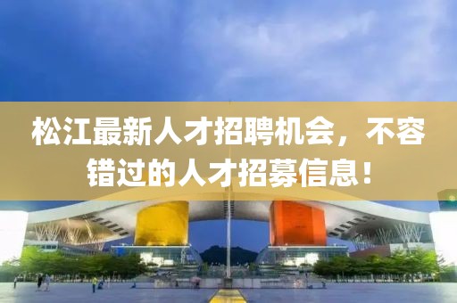 松江最新人才招聘机会，不容错过的人才招募信息！