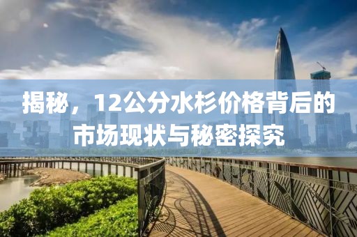 揭秘，12公分水杉价格背后的市场现状与秘密探究