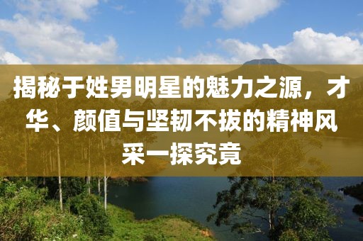 揭秘于姓男明星的魅力之源，才华、颜值与坚韧不拔的精神风采一探究竟