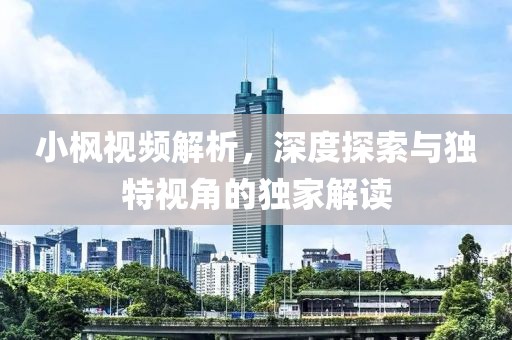 小枫视频解析，深度探索与独特视角的独家解读