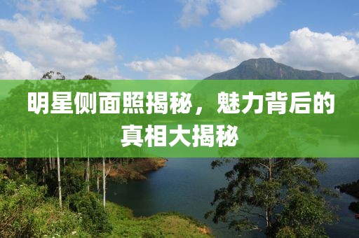 明星侧面照揭秘，魅力背后的真相大揭秘