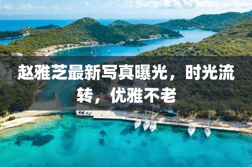 赵雅芝最新写真曝光，时光流转，优雅不老