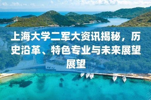 上海大学二军大资讯揭秘，历史沿革、特色专业与未来展望展望