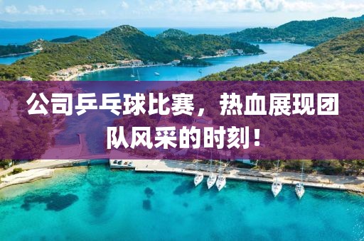 公司乒乓球比赛，热血展现团队风采的时刻！