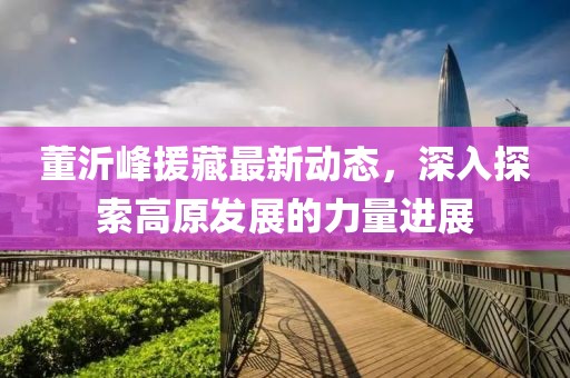 董沂峰援藏最新动态，深入探索高原发展的力量进展