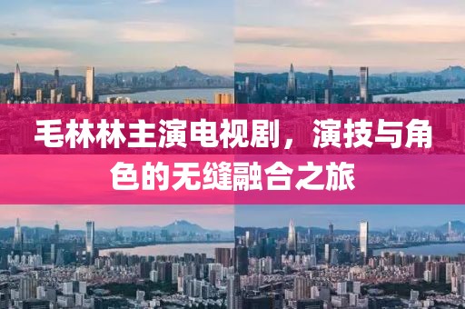 毛林林主演电视剧，演技与角色的无缝融合之旅