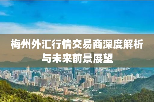 梅州外汇行情交易商深度解析与未来前景展望