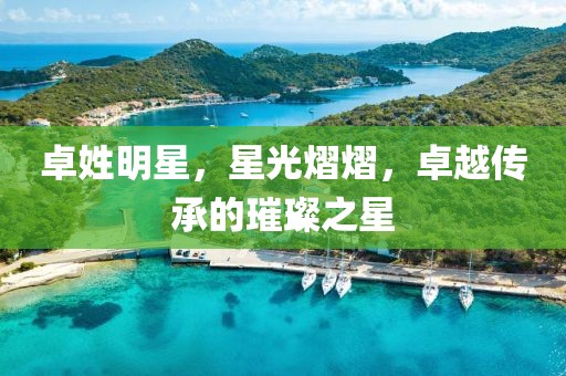 卓姓明星，星光熠熠，卓越传承的璀璨之星