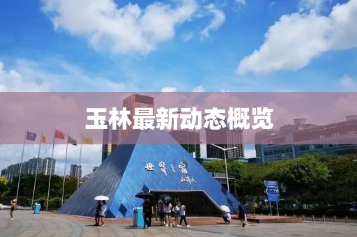 玉林最新动态概览