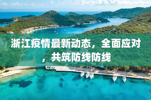 浙江疫情最新动态，全面应对，共筑防线防线