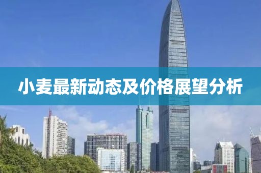 小麦最新动态及价格展望分析