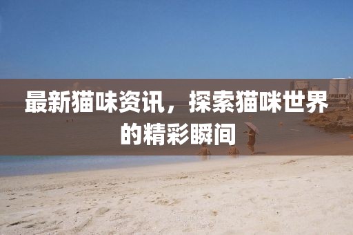 最新猫味资讯，探索猫咪世界的精彩瞬间