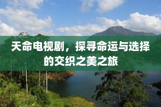 偏爱 第5页