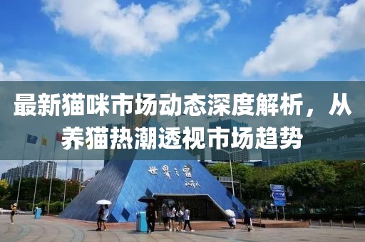 最新猫咪市场动态深度解析，从养猫热潮透视市场趋势