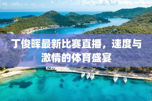 丁俊晖最新比赛直播，速度与激情的体育盛宴