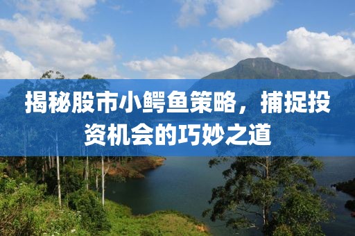 揭秘股市小鳄鱼策略，捕捉投资机会的巧妙之道