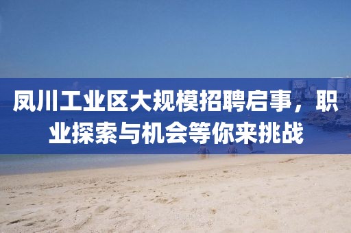 凤川工业区大规模招聘启事，职业探索与机会等你来挑战